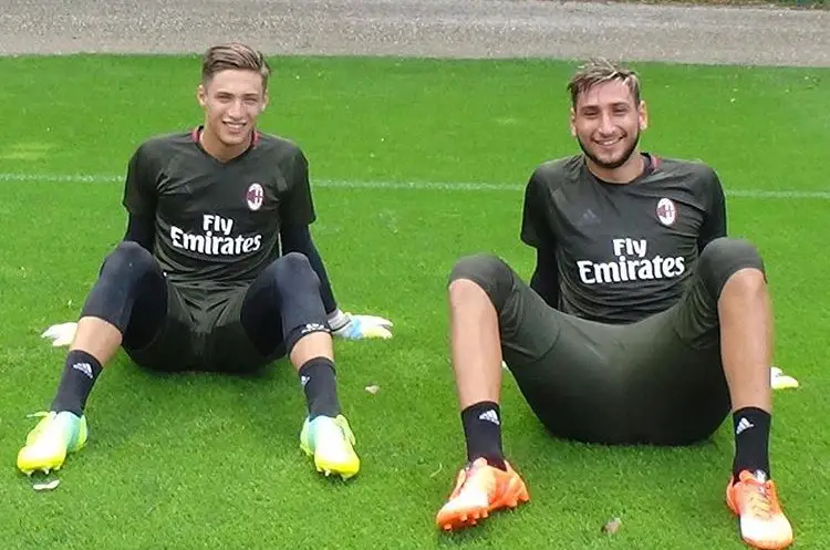 Plizzari & Donnarumma